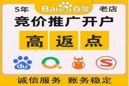 百度推广实战攻略：案例与技巧