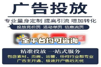 百度SEO推广案例解析与效果评估